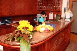 Hotel Ascania - Resepsjon