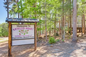 Greers Ferry Treehouse-style Cabin w/ Lake Access! - Innvendig