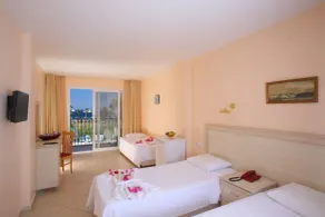 Catamaran Hotel - Room