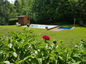 Verwöhn-Pension Wiesengrund - Pool
