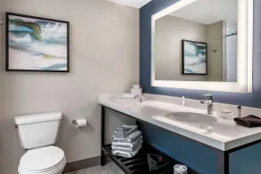 Cambria Hotel Orlando Airport - Bathroom