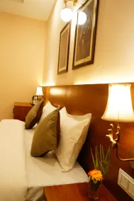 Sundervan Vilas Ranthambore - Room