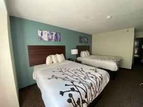 Sleep Inn Jacksonville Airport - Room