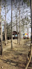 Nepal Himalayan Paulownia Resort  - Restaurante