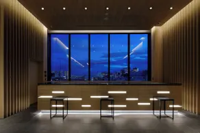 Hotel Yaenomidori Tokyo - Reception