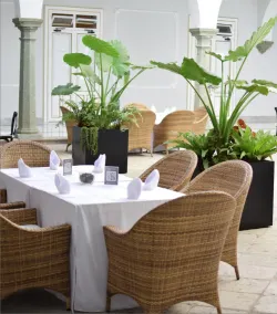 Casa Hidalgo Hotel Boutique - Restaurant