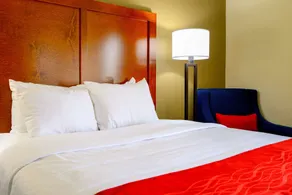 Comfort Inn University Durham - Chapel Hill - Chambre