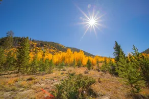 1221 Keystone Gulch condo - Utsikt fra rommet