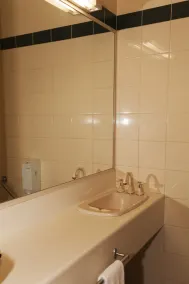 Echuca Nirebo Motel - Bathroom