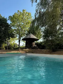 Logis Hôtel LE DAHU - Pool
