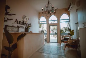 Hotel Anilevich Mansion - Lobby