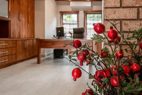 Camelot Guest House & Apartments - Reception