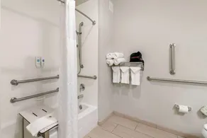 Comfort Inn & Suites Valdosta I-75 - Badeværelse