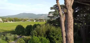 Villa Cavalletti - Ausblick vom Zimmer