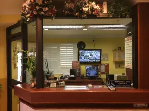 Bellflower Travel Inn - Réception
