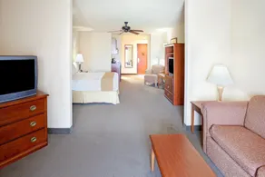 Holiday Inn Express Hotel & Suites Kerrville by IHG - Chambre