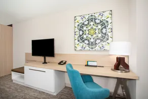 Hilton Garden Inn Cedar Park Austin - Rom