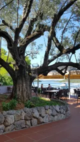 Pansion Alen-Dugi otok - Restaurant