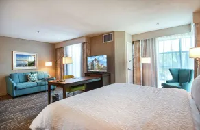 Hampton Inn & Suites Mission Viejo - Chambre
