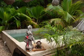 Casa Coyote Tulum - Pool