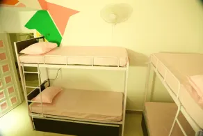Zostel Udaipur - Chambre