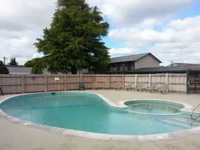 The Forks Motel - Piscine