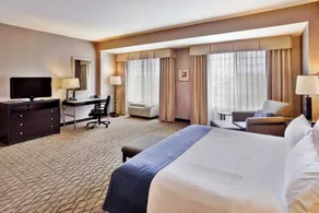 Holiday Inn Detroit Metro Airport by IHG - Chambre