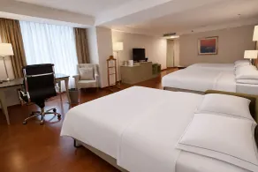 Barcelo Guadalajara - Rom