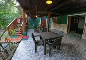 Green Jungle House - Reception