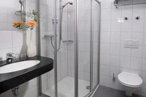 double room, standard, shower/WC - Baño