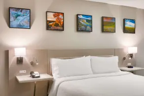 Hilton Garden Inn Idaho Falls - Chambre
