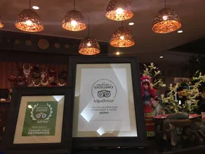 The Opium Chiang Mai - Réception