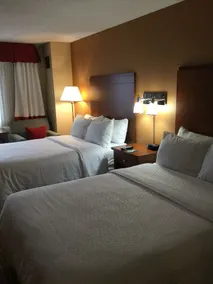 Radisson Hotel Detroit Metro Airport - Chambre