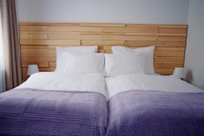 Hotel Palisad - Room