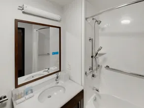 Hampton Inn Majestic Chicago Theatre District - Salle de bain
