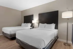 Comfort Suites Cincinnati University - Downtown - Chambre