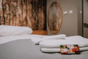 Park Hotel Sóstó - Room