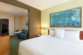 SpringHill Suites Austin South - Room