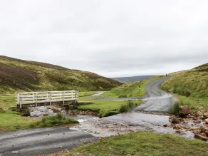 Cowlings - Pool
