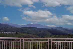 Petals Luxury Homestay - View from room
