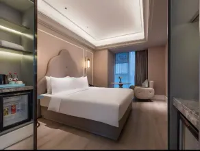Mercure Shanghai Waigaoq Free Trade Zone - Zimmer
