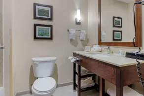 Comfort Suites Benbrook - Fort Worth Southwest - Chambre
