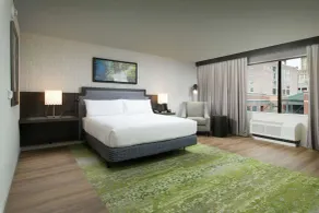 Hilton Garden Inn Memphis Downtown Beale Street - Chambre