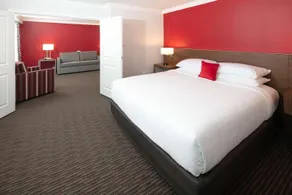 Radisson Hotel Orlando Lake Buena Vista South - Rum