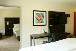 Holiday Inn Express & Suites Custer-Mt Rushmore - Chambre