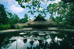 Marari Beach Resort Alleppey - A CGH Earth Experience - Réception