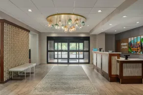 Hampton Inn & Suites Tampa Busch Gardens Area - Réception