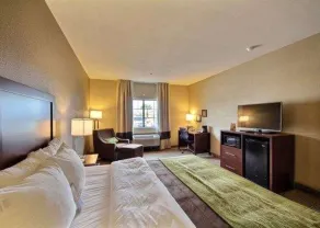 Comfort Inn Edinburg South - Chambre