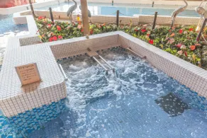 Mikazuki Sea-Park Hotel Awa Kamogawa - Spa