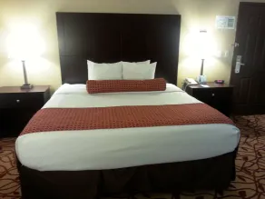 Best Western Park Hotel - Chambre